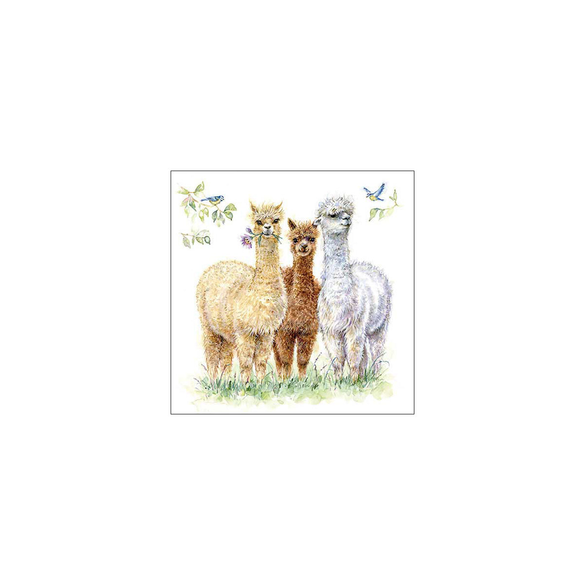 Ambiente - Servetten - Alpaca Friends