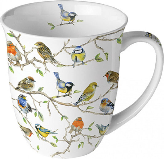 Bowl Bird species white