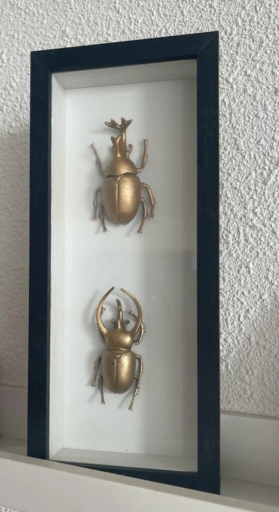 Zwarte lijst met decoratieve gouden insecten. 26,5 x 11,5 cm