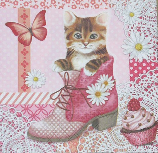 Kat in een schoen