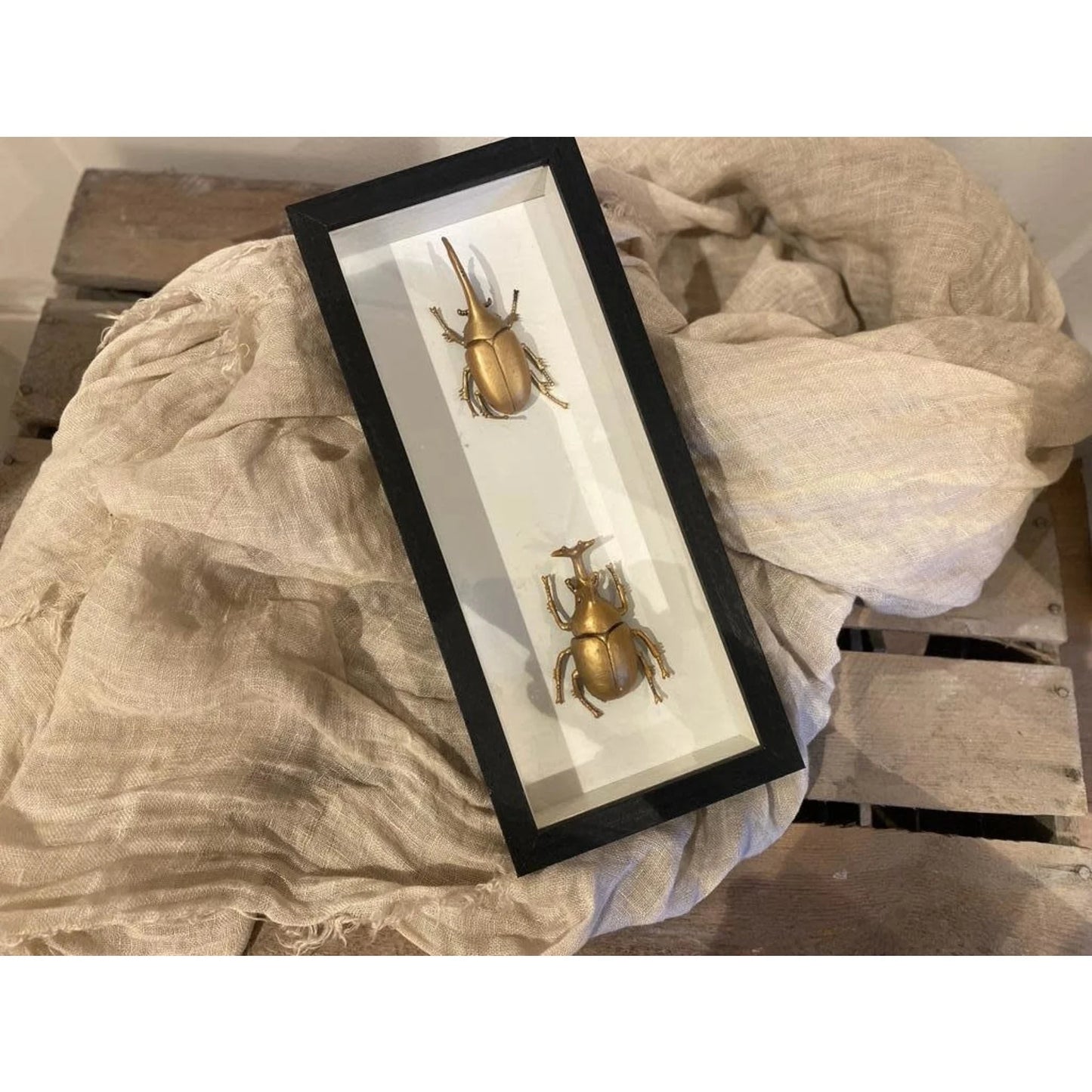 Zwarte lijst met decoratieve gouden insecten.   26,5 x 11,5 cm